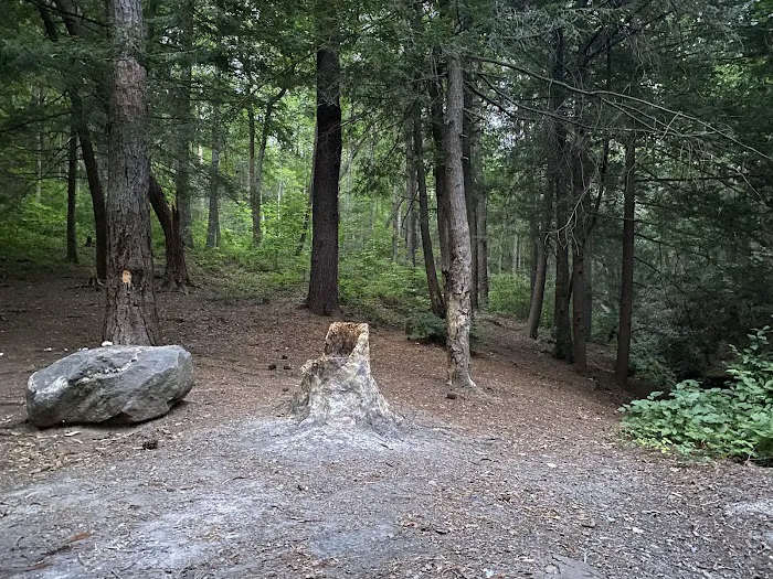 Hickey Gap Campground 3