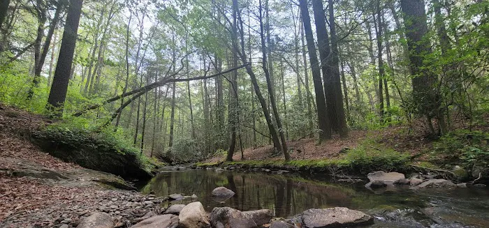 Hickey Gap Campground 8