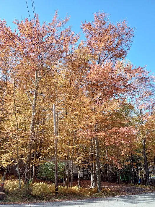Lake Adventure Community Association 7