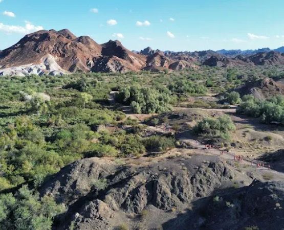 Picacho Campground