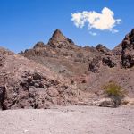 Picacho State Park