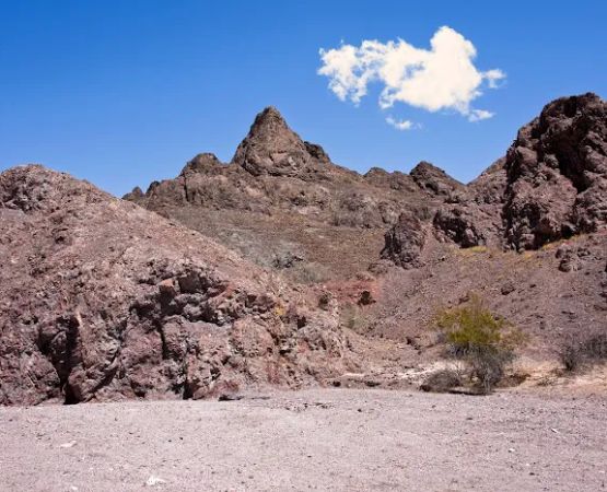 Picacho State Park