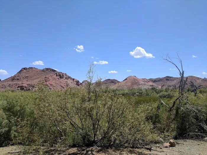 Picacho State Park 3