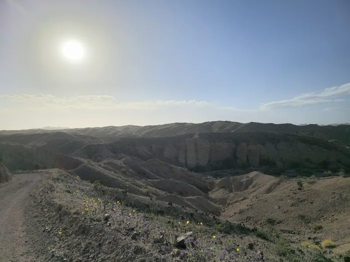 Picacho State Park 8