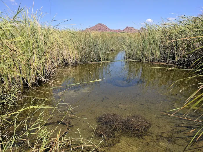 Picacho State Park 9