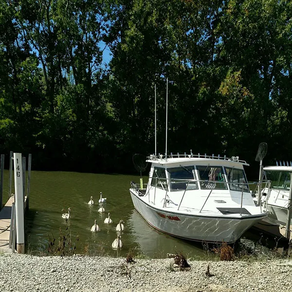 Wild Wings Campground & Marina 5