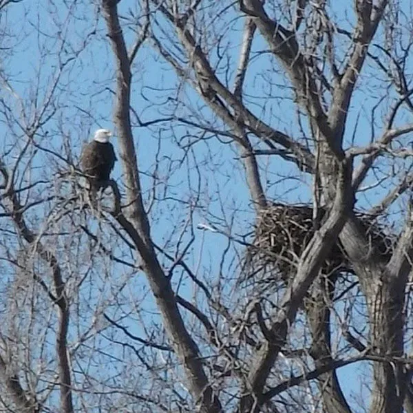 Wild Wings Campground & Marina 7