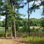 North Cypress Non-Motorized Trail