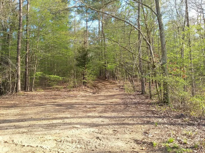Wallace Creek Campground 8