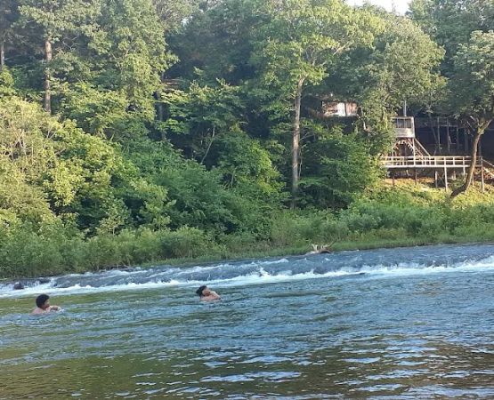 Griffin Park RV Park and Campground