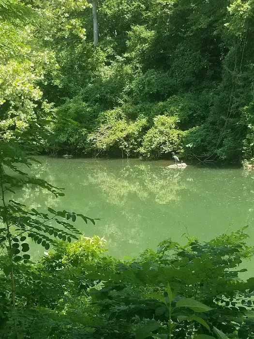 Griffin Park RV Park and Campground 3