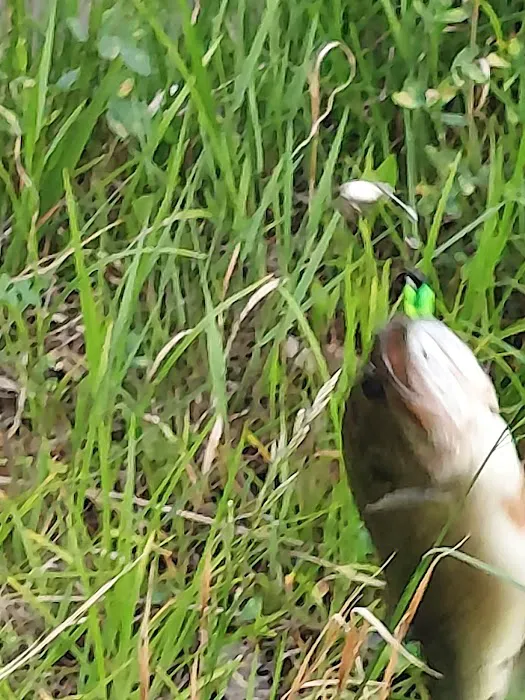 Gnawbone Campground 3