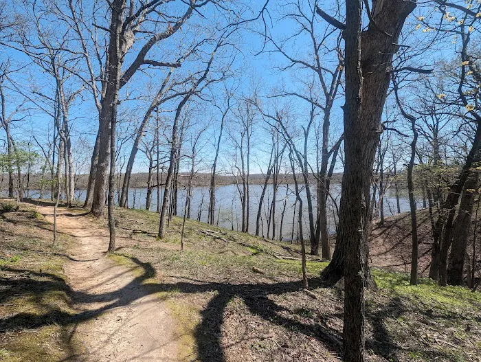 Lake Lou Yaeger Campground 5