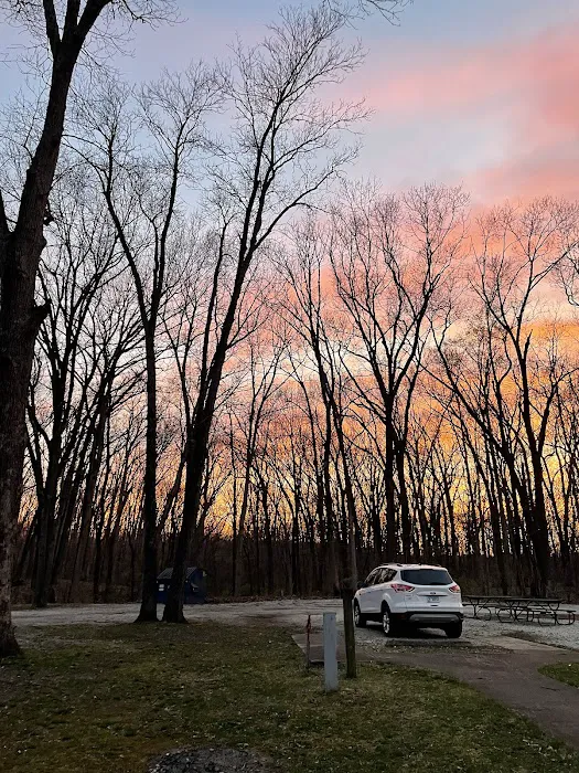 Lake Lou Yaeger Campground 6