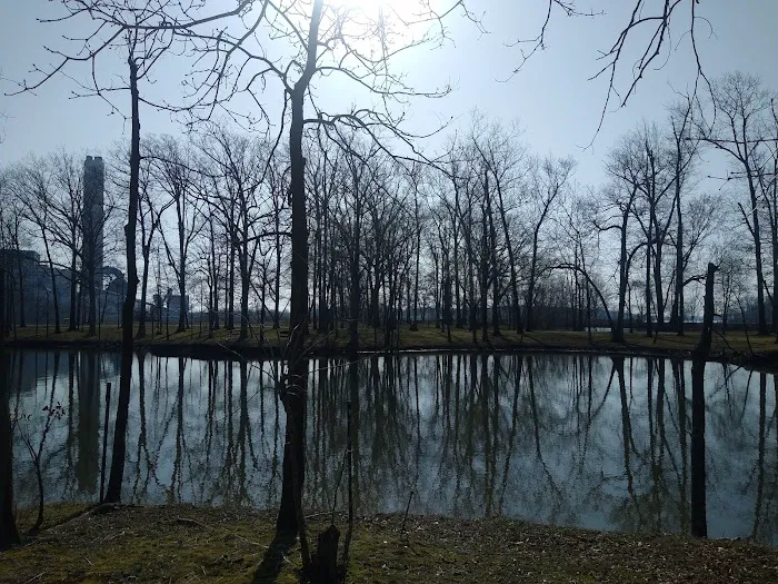 Indian Grove Campground 7