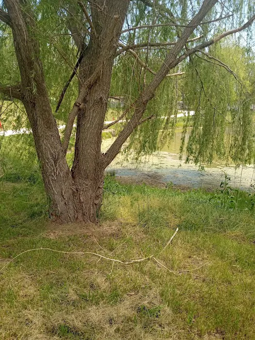Tomahawk Campground 7