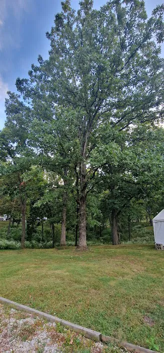 Sherwood Forest Campground 5
