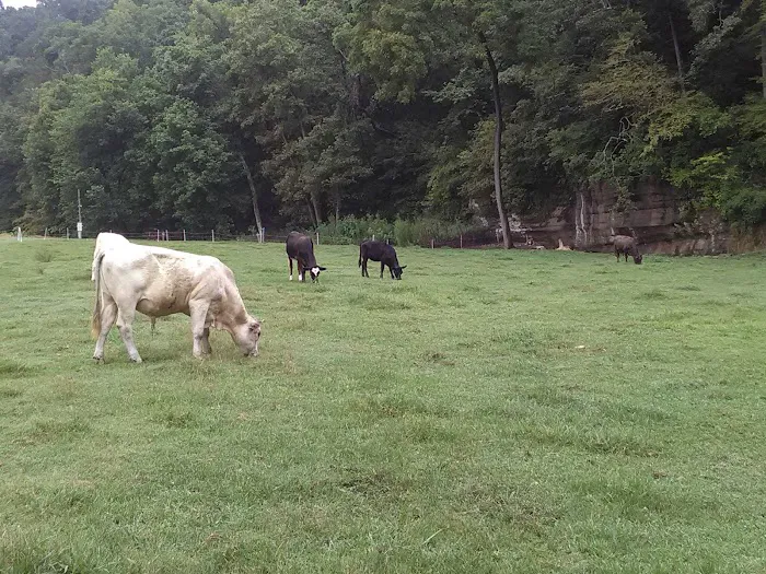 ropers campground, LLC 4