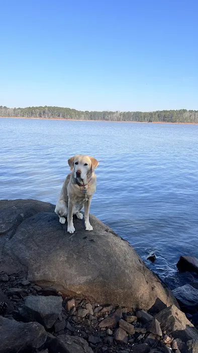 Schaefer Heard Campground 1
