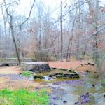 The Pocket Recreation Area