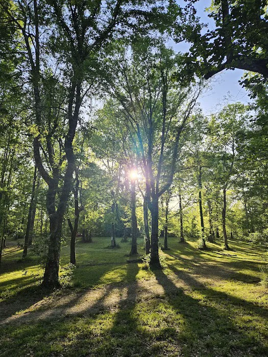 WMA Tent Campground 0