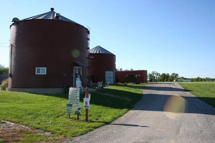 Buena Vista Farms Inc 4