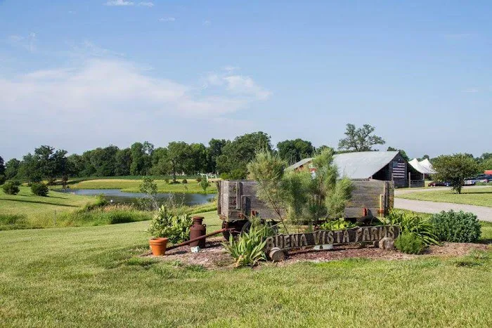 Buena Vista Farms Inc 6