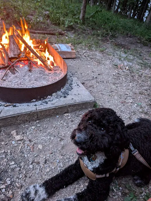 Wild Turkey Ridge Campground 4
