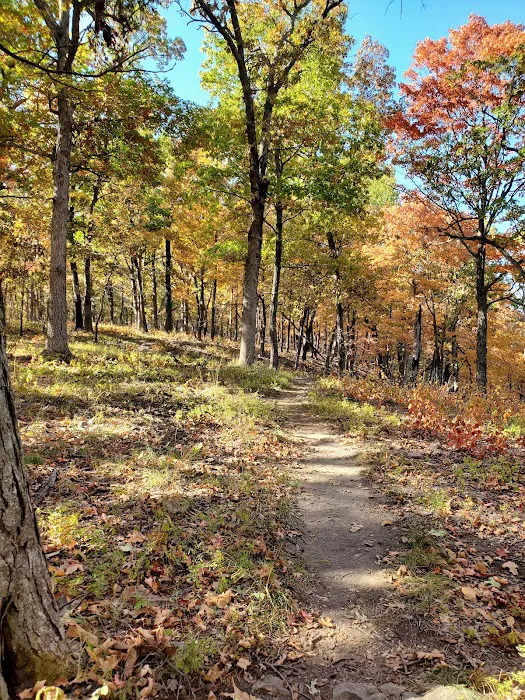 Raccoon Ridge Campground 7