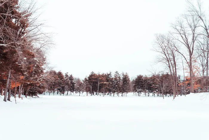 CERA Sports Park & Campground 4