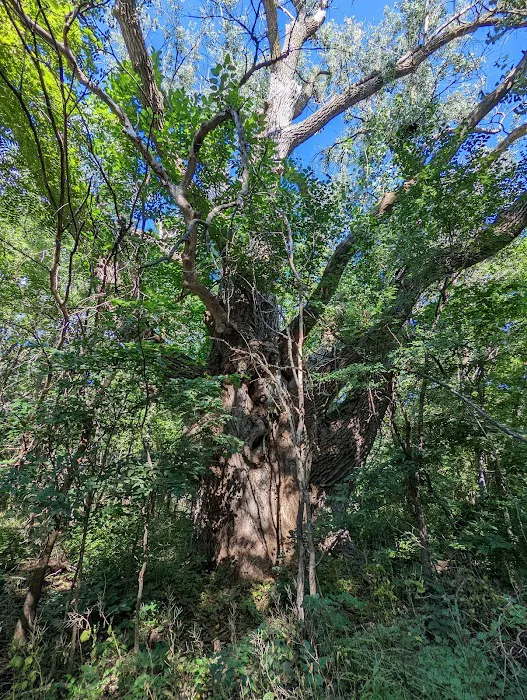 Burt Lake Campground and Wildlife Area 5