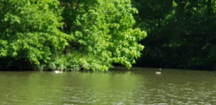 Greenfield Rives Lake Camping 9