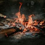 Camp Squid Off The Grid