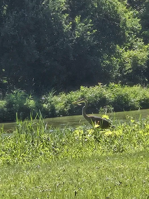 Lake Loramie State Park Campground 1