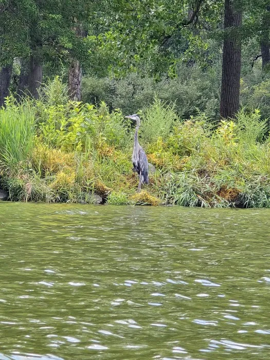 Lake Loramie State Park Campground 7