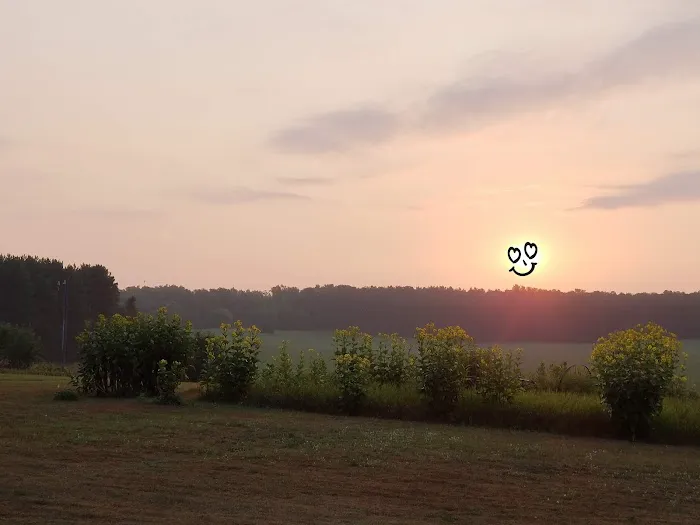 Krueger's Campground 5