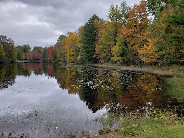 Fawn Lake Campground 3