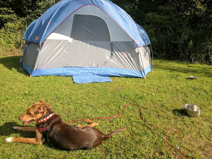 Fawn Lake Campground 6