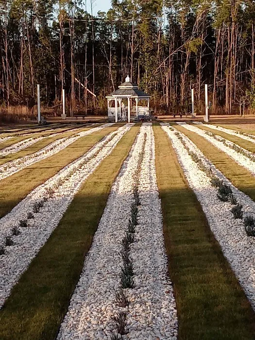 Southern Grace Lavender Farm 7