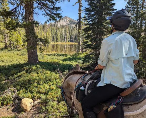 Wrights Lake Equestrian Camp