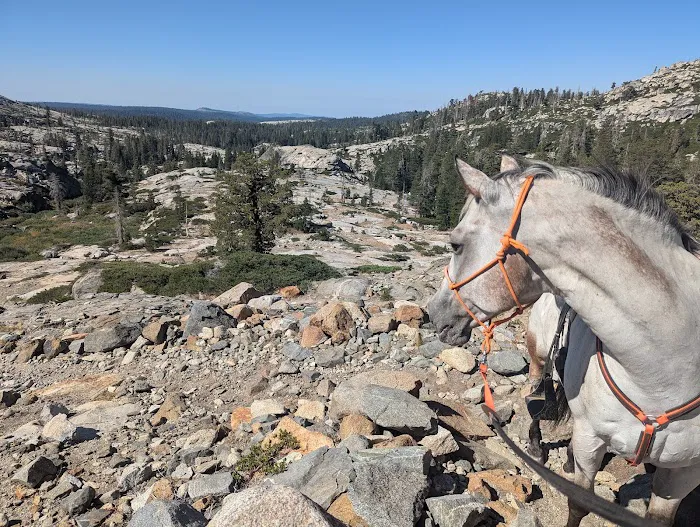Wrights Lake Equestrian Camp 5