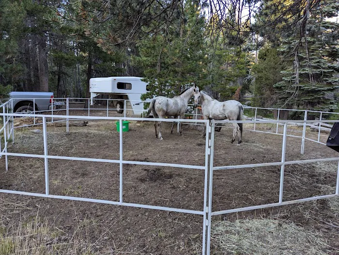 Wrights Lake Equestrian Camp 4