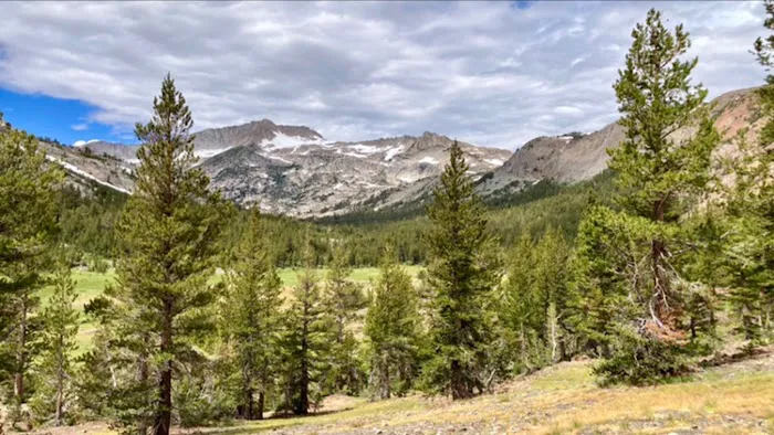 Sawmill Campground 1