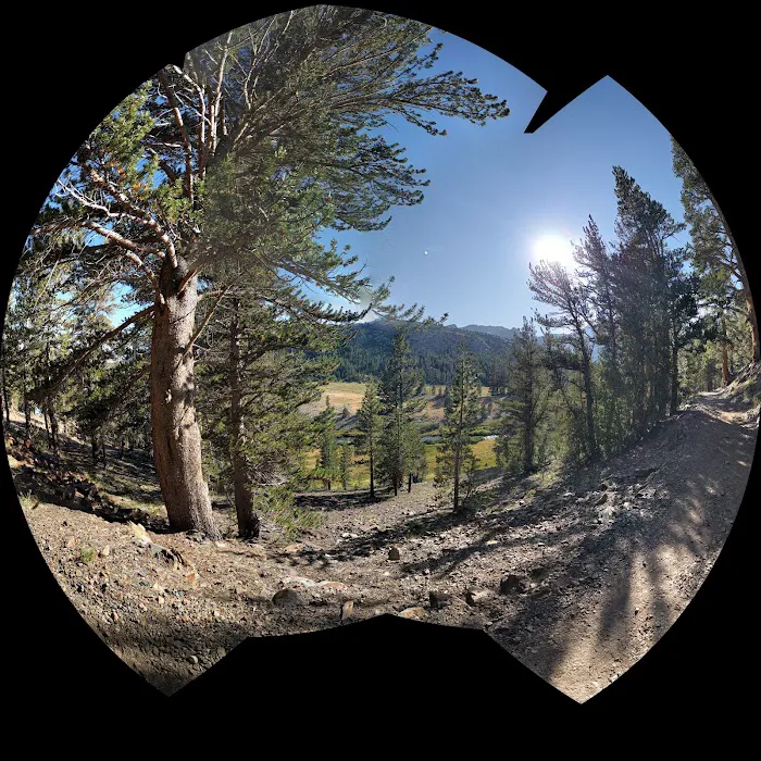 Sawmill Campground 8