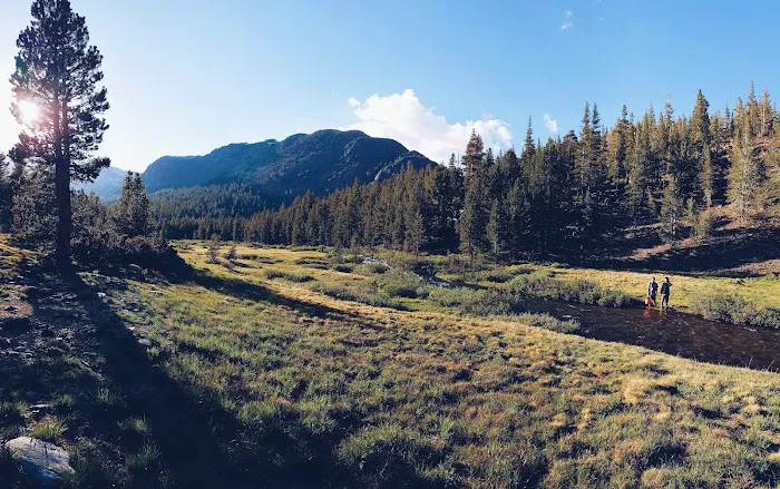 Sawmill Campground 9