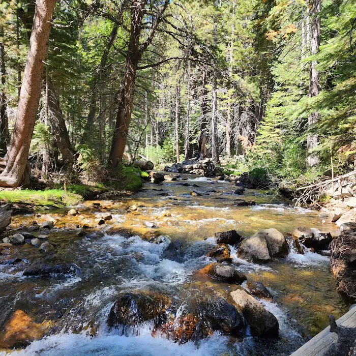 Big Bend Campground 2