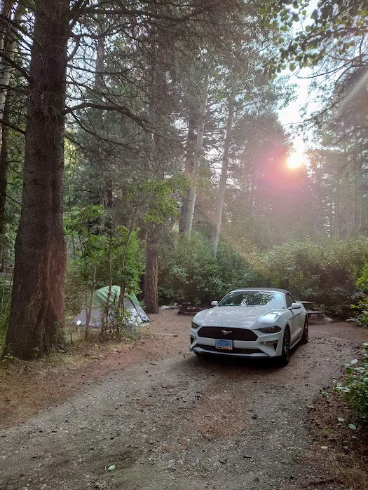 Big Bend Campground 9
