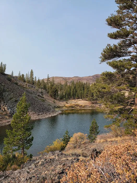 Ellery Lake Campground 4