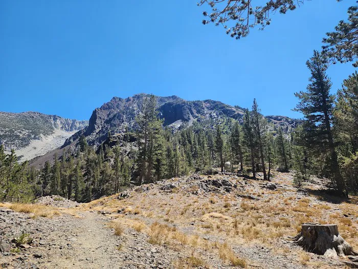 Ellery Lake Campground 6
