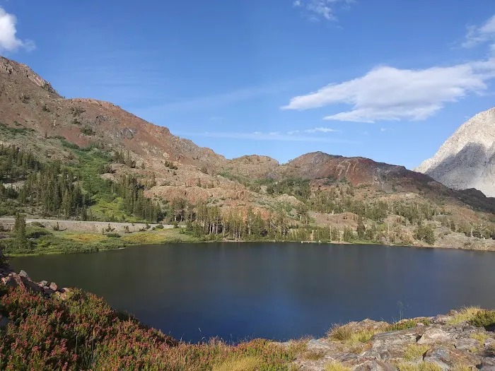 Ellery Lake Campground 5